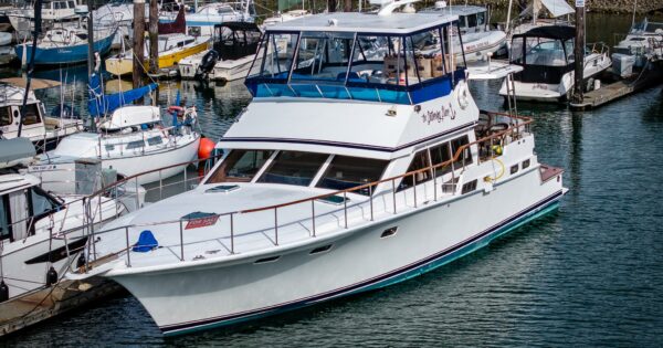 Photo of 1987 Bluewater Yachts Motor Yacht