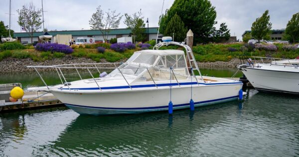 Photo of 1990 Bertram 28 Moppie